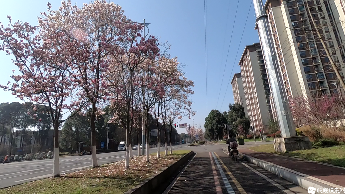 漂亮的邛崃街景